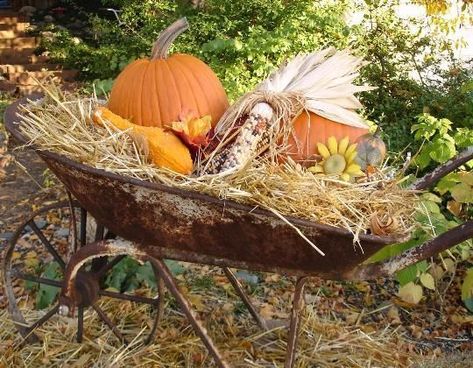 common ground : Weekend Inspiration: Wagons and Wheelbarrows for Fall Fall Wagon Decor, Wheelbarrow Decor, Goat Cart, Pop Up Vendor, Pop Up Vendor Booth, Mums In Pumpkins, Fall Yard Decor, Theme Garden, The Garden Room