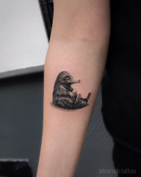 Harry Potter Niffler Tattoo, Niffler Tattoo Design, Fantastic Beasts Tattoo Ideas, Harry Potter Tattoos Color, Fantastic Beasts Tattoo, Niffler Tattoo, Slytherin Tattoo, Harry Potter Tattoo Sleeve, Harry Tattoos