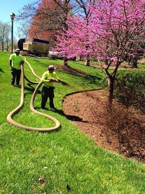 Five Mulching Mistakes (Plus The Right Way To Do It) Dark Brown Mulch Landscaping, Red Mulch, Playground Mulch, Brown Mulch, Mulch Landscaping, Pine Bark, Plant Diseases, Cleaning Wood, Colorful Plants