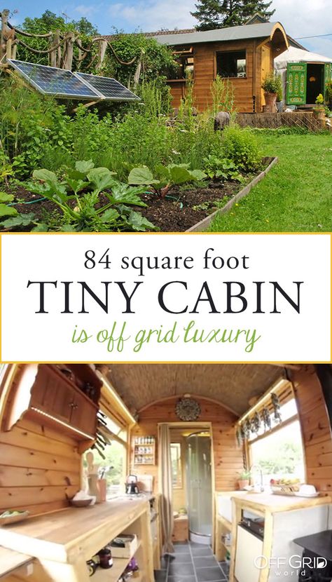 Spectacular Tiny Cabin is Off Grid Luxury on a Budget - Off Grid World House Plans With Measurements, Off Grid House Plans, Off Grid Luxury, Tiny Cabins Interiors, Luxury On A Budget, Grid Ideas, Off Grid Tiny House, Off Grid House, Bird House Plans