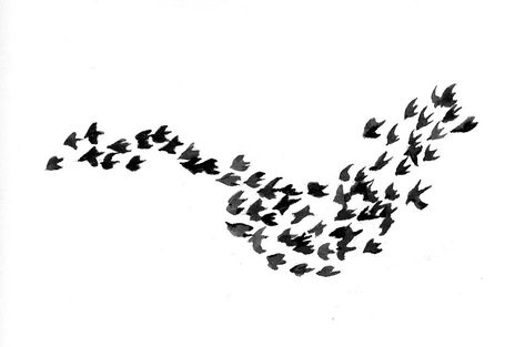 Magical Flocks of Birds Flock Of Birds Illustration, Murmuration Tattoo, Flock Of Birds Tattoo, Birds Flocking, Flocks Of Birds, Swallow Bird Tattoos, Activist Art, Birds Illustration, Homemade Bird Feeders