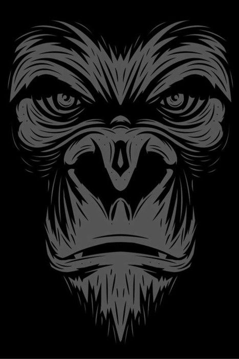 Gorilla Face, Gorillas Art, Gorilla Tattoo, Lip Wallpaper, Monkey Art, Desenho Tattoo, Electronic Art, King Kong, Best Art