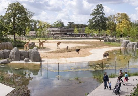 Paris Zoological Park - Topos Zoo Architecture, Architecture Portfolio Layout, Animals And Nature, Desert Animals, Image Nature, Architecture Portfolio, The Zoo, Theme Park, Paris France