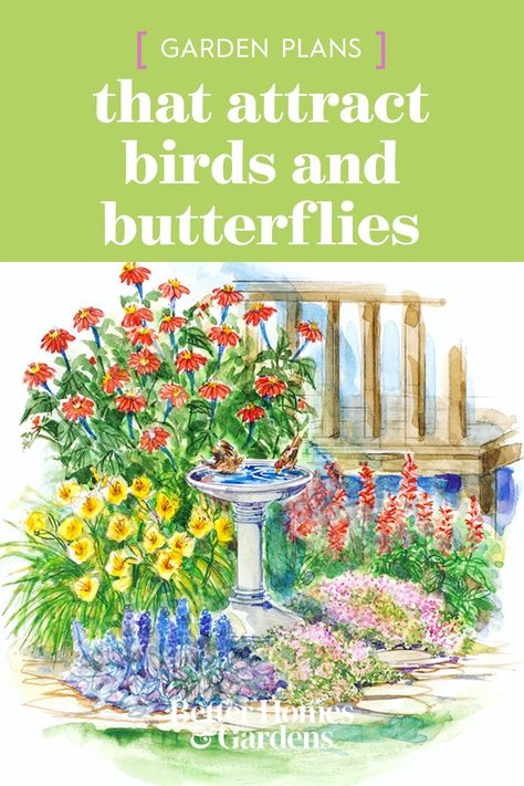 Pollinators Garden Design, Small Butterfly Garden Design, Garden For Butterflies, Corner Butterfly Garden Ideas, Butterfly Garden Design Layout Flower Beds, Attract Butterflies To Garden, Plants Butterflies Like, Bird Bee Butterfly Garden, Flowers Butterflies Like