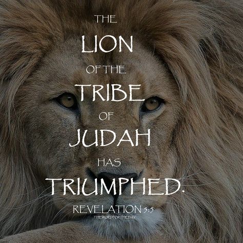 #lion of judah #bible verse #revelation 5:5 #christian life #christian quotes #christian blog #the word for the day quote Lion Bible Verse, Max Lucado Quotes, Word For The Day, The Tribe Of Judah, Psalm 119 11, Lion Of Judah Jesus, Peaceful Words, Lion Quotes, Life Choices Quotes