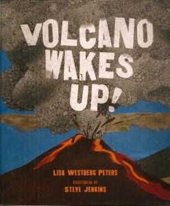 Kid-friendly poems from five alternating points of view. It explores the volcanic process and its effect on the surrounding land. It's generally for Preschool-4th grade and could be used when talking about how volcanoes form and each stage. Volcano Activities, Expository Writing, 4th Grade Science, Mentor Texts, Preschool Books, Preschool Lessons, Letter V, Reading Levels, Earth Science