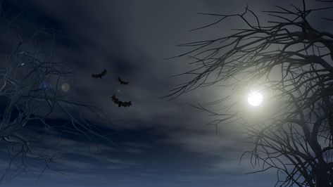 Halloween background with spooky trees a... | Free Photo #Freepik #freephoto #background #tree #halloween #sky Halloween Sky Background, Background Tree, Photo Halloween, Scary Witch, Spooky Trees, Halloween Background, Moonlit Sky, About Halloween, Night Background