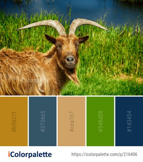 Color Palette Ideas from Goats Horn Wildlife Image Wildlife Color Palette, Goat Images, Popular Color Palettes, Best Color Palettes, Quilts Designs, Moon Color, Paint Chip Art, Birth Signs, Libra Moon