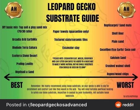 Leopard Gecko Care, Leopard Gecko Morphs, Diy Reptile, Gecko Terrarium, Reptile Decor, Reptile Care, Eco Earth, Leopard Geckos, Aspen Wood