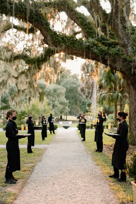 British Weddings, European Style Wedding Decor, Southern Outdoor Wedding, Southern Elegance Wedding, Small Charleston Wedding, Southern Wedding Decor, Outdoor Southern Wedding, Coastal Southern Wedding, Charleston Weddings