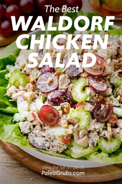 Waldorf Salad With Chicken, Best Chicken Salad Recipe With Grapes, Chicken Salad Recipe With Grapes Apples And Pecans, Chicken Salad Walnuts Grapes, Waldorf Chicken Salad Recipe, Paleo Chicken Salad Recipe, Healthy Chicken Waldorf Salad, Paleo Chicken Salad, Waldorf Chicken Salad