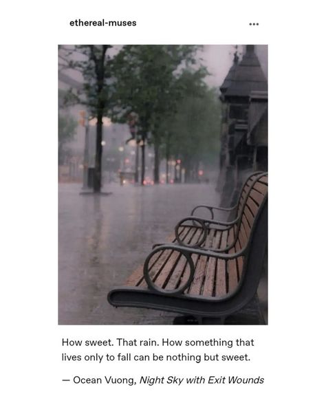 It Was Late August Quote, Beautiful Quotes On Rain, Muse Quotes, Rain Quotes, Poetic Quote, Words That Describe Feelings, Soothing Quotes, Postive Life Quotes, Quotes From Novels