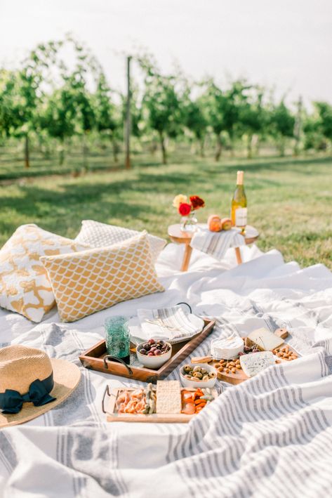 Gorgeous picnic in the vineyard: http://www.stylemepretty.com/2016/09/24/the-sweetest-picnic-proposal/ Photography: Sarah Pascutti - http://www.sarahpascutti.com/ Picnic Proposal Ideas, Picnic Board, Picnic Proposal, Picnic Photography, Wine Picnic, Picnic Dinner, Plant Party, Striped Blanket, Picnic Inspiration