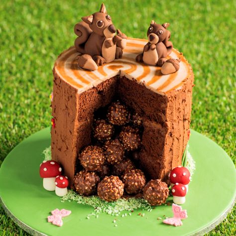 Birthday Cake Recipe Ideas, Pinata Cake Recipe, Squirrel Cake, Triple Layer Chocolate Cake, Brown Food Coloring, Piñata Cake, Layer Chocolate Cake, How To Stack Cakes, Ferrero Rocher Chocolates