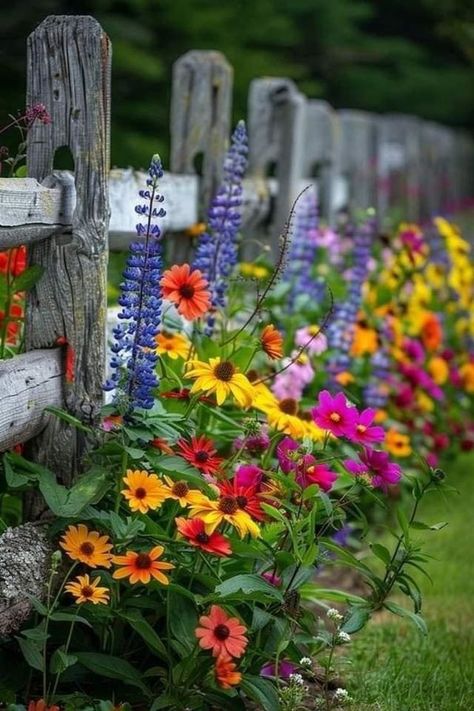 Flower Bed Against Fence, Fence Flowers, Front Fence, White Fence, Morning Photo, Flower Bed Ideas, Picket Fence, Bed Ideas, Flower Bed