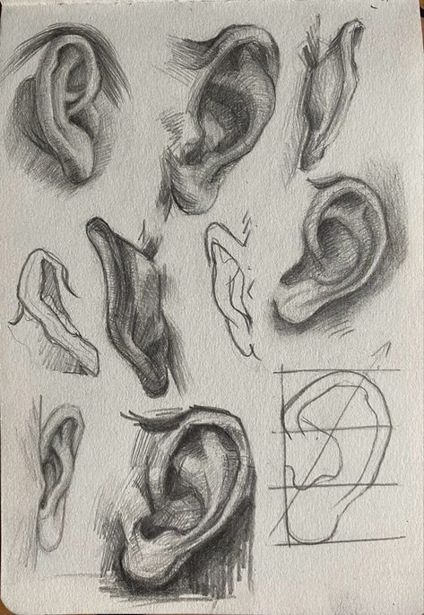 Ear Drawings Sketches, Different Ears Drawing, Shading Guide Drawing, Quick Anatomy Sketch, Face Mapping Drawing, Ear Perspective, Pointy Ears Drawing, Face Drawing Front View, How To Draw An Ear