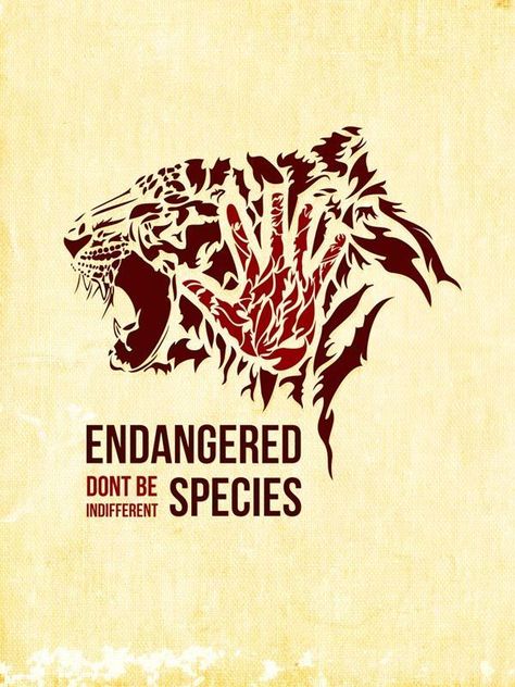 Wildlife conservation is the practice of protecting animal species and their habitats. It is achieved partially through legislation such as the Endangered Species Act, the start and guidance of public lands, and liable public practices that conserve wild animal populations. Endangered Animals Project, Endangered Species Art, Save The Tiger, Tiger Poster, Save Wildlife, Animal Activism, Animal Conservation, Environmental Pollution, Endangered Animals