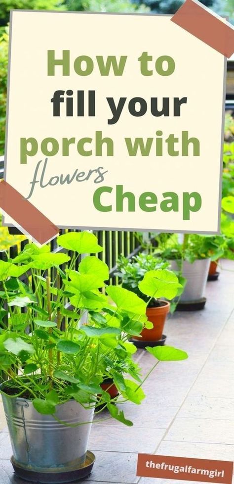 Decorating With Potted Plants Outside, Small Porch With Plants, Back Porch Potted Plant Ideas, Garden Flower Pots Outdoors, Flower Pots On Pavers, Deck Garden Ideas Potted Plants, Easy Outdoor Plants Pots, Flower In Pots Outside Planters, Good Porch Plants