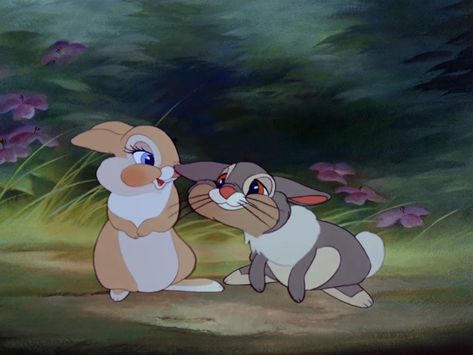 Rabbit Meaning, Thumper And Miss Bunny, Xander Hale, Thumper Rabbit, Animated Rabbit, Bunny Sketch, Bunny Sketches, Miss Bunny, Bunny Room