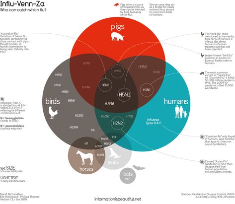 H1N1? H2N5? H7N9? Bird flu? Swine flu? Australian Flu? Feverish with incomprehension? Let our Influ-Venn-Za diagram relieve  you with a soothing lozenge of understanding. Healthcare Advertising, Data Visualization Design, Venn Diagram, Information Graphics, Information Design, Data Visualization, Infographic Design, Pigs, Innovation Design