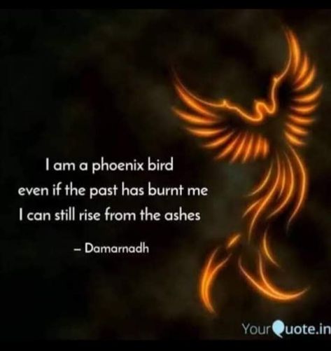 Phoenix Quotes, Spirituality Energy Universe, Phoenix Artwork, Bird Quotes, Amazing Inspirational Quotes, Phoenix Bird, Affirmations For Happiness, Rare Words, Morning Greetings Quotes