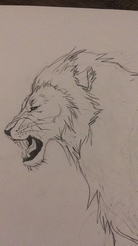 Lion Roar Drawing, Lion Sketches, Lion Drawing Easy, Roaring Lion Drawing, Lion Head Drawing, Draw A Lion, Lion Roaring, Lion Roar, Cross Drawing