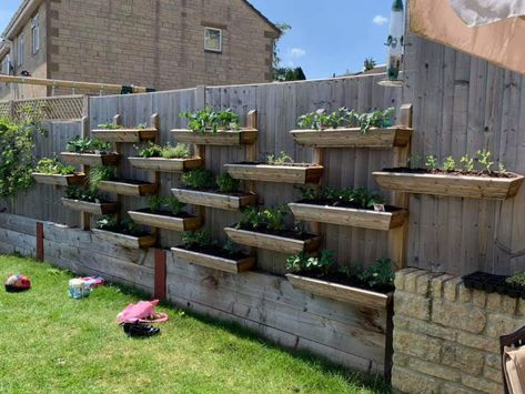 Pallets For Gardening, Planters For Patio, Outdoor Succulent Garden, Vege Garden Ideas, Vertical Garden Pots, Vegetable Garden Layout Design, Succulent Garden Ideas, Wall Planters Outdoor, Deck Wall