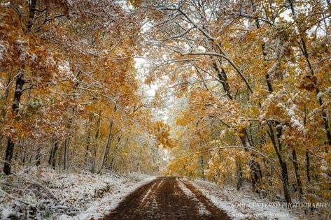 Autumn Snow, First Snowfall, Northern Wisconsin, Snow Fall, Blue Hill, Setting Ideas, How To Make Snow, Snow Angels, Photo Tree