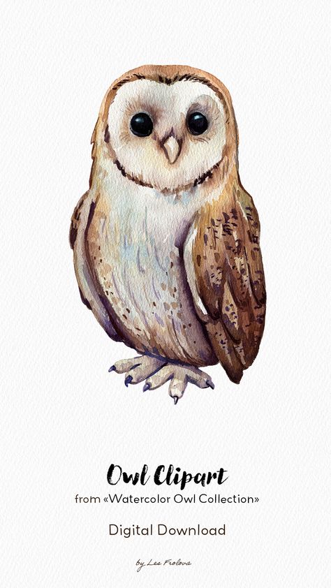 Hand painted in watercolor collection with owls, arrows and floral elements. This collection will be perfect for nursery prints, invitations, wall art prints, greeting cards, gift wrapping paper, branding, textile design and your other ideas. Collection includes 120+ high quality cliparts. #owl #owlclipart#owlprint#babyshower#watercolorclipart Bird Drawing Watercolor, Watercolor Owls Simple, Owl Watercolor Paintings, Cute Owl Painting, Doodling Animals, Owls Watercolor, Watercolour Owl, Paper Branding, Owl Character