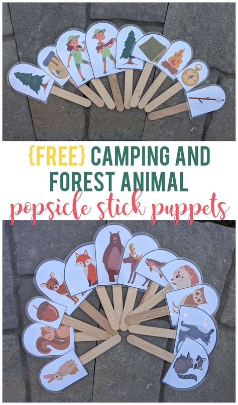 This camping and forest animal stick puppets activity is great for younger kids to play with on your next visit to nature. Forest Animals Preschool Theme, Forest Animal Theme Preschool Activities, Woodland Animal Activities For Preschool, Woodland Creatures Preschool Activities, Camping Animals, Forest Crafts For Toddlers, Preschool Forest Animals Theme, Preschool Forest Animal Crafts, National Park Crafts For Kids