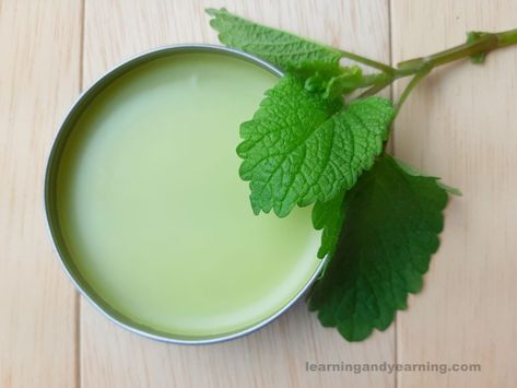 Cold Sore Lip, Lemon Balm Recipes, How To Grow Lemon, Balm Recipe, Lip Balm Recipes, Oil Diffuser Recipes, Herbal Apothecary, Natural Healing Remedies, Diy Lip Balm