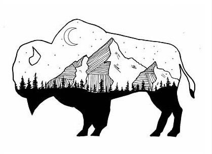 Bison Line Art, Bison Print, Nature Art Drawings, Native Design, Night Scene, Native American Art, American Art, Design Inspo, Animal Drawings