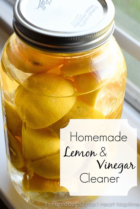 Homemade Lemon Vinegar Cleaner - This DIY natural cleaner, using every day ingredients, is INCREDIBLY easy to make. Lemon Vinegar Cleaner, Natural Cleaners Diy, Lemon Vinegar, Vinegar Cleaner, Vinegar Uses, Cleaner Recipes, Homemade Cleaning Products, Natural Cleaners, Diy Cleaners