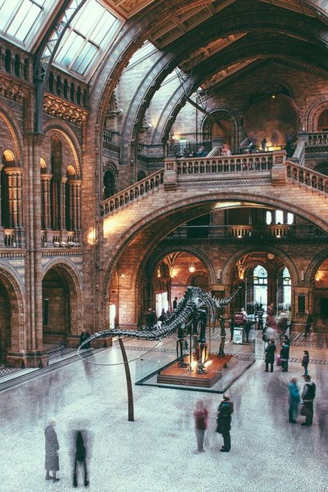 Natural History Museum, London - Love this place!! Natural History Museum London, Natural History Museum, Voyage Europe, London Town, England Travel, History Museum, London Travel, The Natural, Natural History