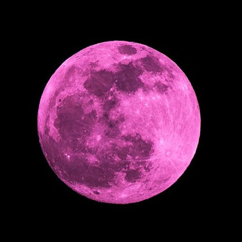 Pink Moon, Moon, Music, Pink