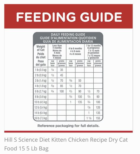 What Can My Cat Eat, Kitten Food Schedule, Cat Feeding Schedule Printable, Foods Safe For Cats, Kitten Tips, Cat Infographic, When Do Kittens Start Eating Food, Cat Eat, Healthy Cat Food