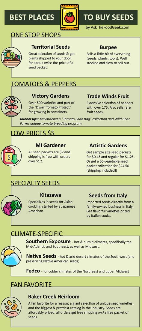 Best places to buy vegetable seeds for your garden (& cost comparison) Vegetable Seeds Packets, Buy Seeds, Victory Garden, Seed Catalogs, Fruit Seeds, Pepper Seeds, Seed Company, Heirloom Seeds, Fresh Fruits And Vegetables