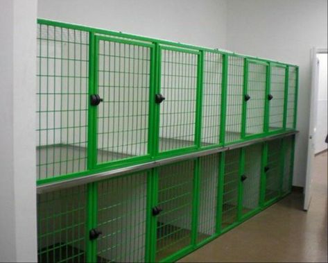 Dog Kennel Business, Kennel Business, Dog Boarding Ideas, Hotel Pet, Dog Boarding Facility, Dog Boarding Kennels, Dog Communication, Kennel Ideas, Indoor Dog Kennel