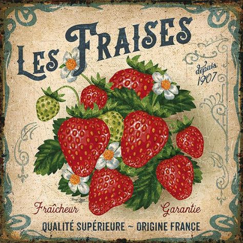 Vintage Ads - "Les Fraises" (Strawberries); by Bruno Pozzo 2016 #papercrafts #paper #crafts #poster Etiquette Vintage, Illustration Botanique, Vintage Poster Art, Vintage Diy, Drawing Set, Vintage Printables, Vintage Labels, Vintage Cards, Botanical Illustration