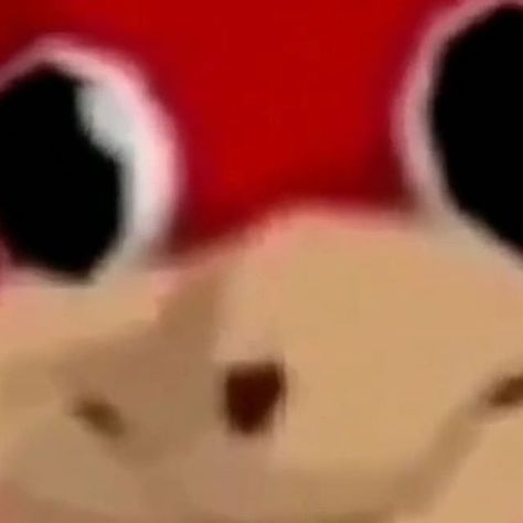 DO U KNOW DA WAE Da Wae Knuckles, Do You Know Da Wae Knuckles, Knuckles Meme, Sonic Funny, Weird Images, Cute Jokes, Chicken Humor, Fresh Memes, Sonic Boom