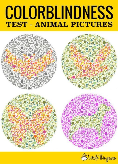 Color Vision Deficiency, Color Blind Glasses, Blind Test, Test For Kids, Minted Art, Color Vision, Test Quiz, Color Test, Color Blind