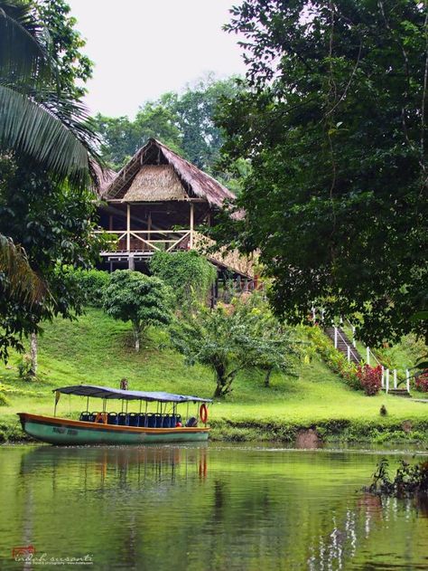 Our eco-resort, in the middle of the jungle - Eight Things to Do and Learn in the Amazon Rainforest (Ecuador) Amazon Rainforest Ecuador, Ecuador Amazon Rainforest, Amazon Rainforest Travel, Amazon Rainforest Aesthetic, Ecuador Rainforest, Rainforest Village, Ecuador Aesthetic, Rainforest Tribes, Brazil Rainforest