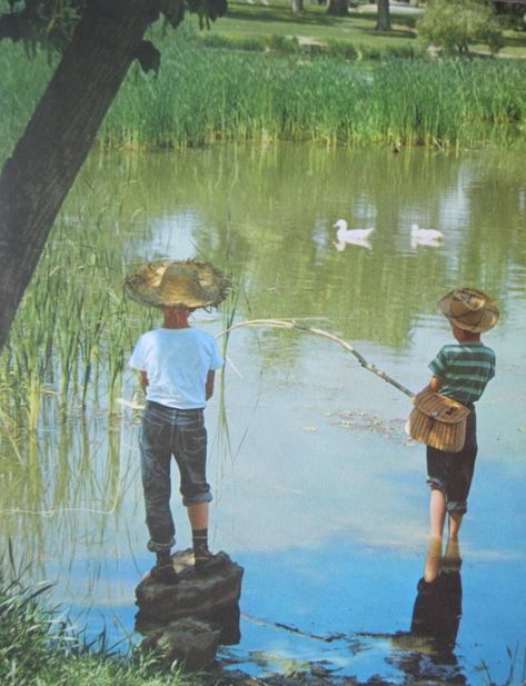 Quirky Groom Shower Ideas You Will Definitely Enjoy Groom Shower Ideas, Pond Paintings, Fish Inspiration, Postcard Idea, Fishing Painting, I Can Wait, Fish Paintings, Fishing Pond, Man Fishing