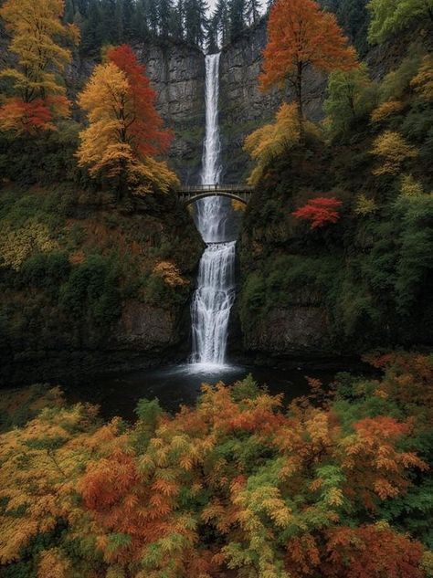 OThingstodo (@othingstodo_com) on X Multnomah Falls Oregon, Destination Imagination, Multnomah Falls, Highway 1, Oregon Coast, Drawing Base, Art Project, Oregon, North America