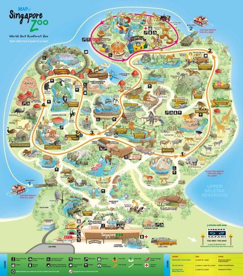 Singapore Zoo Zoo Map, Singapore Map, Zoo Zoo, Zoo Project, Zoo Architecture, Singapore Zoo, Zoo Park, Lovely Illustrations, Pet Resort