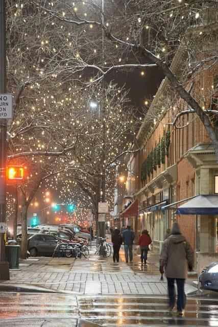 Snow in Old Town by Colorado State University. Colorado Fort Collins, Denver Houses, Colorado Life, Fort Collins Colorado, Walking Down The Street, Colorado State University, Mountain High, College Town, Colorado Homes