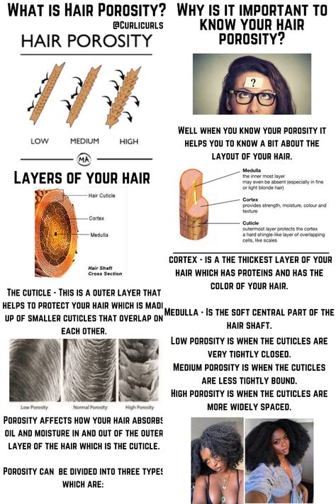 Low Prosperity Hair Vs High, Porosity Hair Chart, Low Porosity Straight Hair, Clarifying Shampoo For Low Porosity Hair, High Prosperity Hair, Normal Porosity Hair, Esthetician Learning, Hair Anatomy, Hair Journey Tips