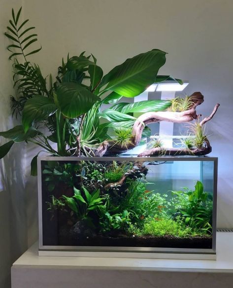 Buddha Fish Tank, Natural Betta Tank, Monstera In Aquarium, Monstera In Fish Tank, Paladarium Design, Aquascape Design Natural, Japanese Fish Tank, 10 Gallon Fish Tank Ideas, Natural Fish Tank