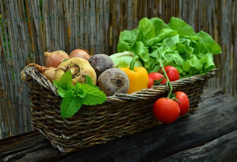 Harvesting the Garden Bądź Fit, Thanksgiving Vegetables, Menu Sarapan Sehat, Vegetable Harvest, Rainbow Carrots, Seasonal Produce, Vegetable Basket, Diet Vegetarian, Idee Pasto Sano