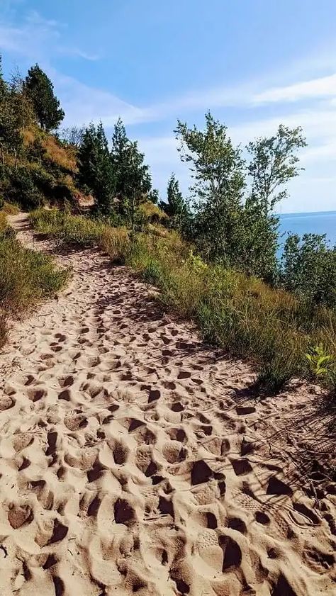 Traverse City Michigan Aesthetic, Michigan Traverse City, Northport Michigan, Michigan Living, Best Hikes In Lower Michigan, Traverse City Wineries Map, Traverse City Wineries, Pictured Rocks Michigan Hiking, Empire Bluff Trail Michigan